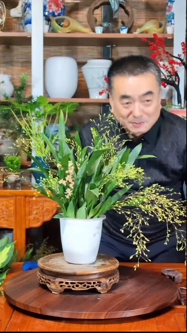 无花朵戈**C水之韵水培梦香兰