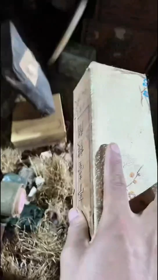 香榧木李金色盒子