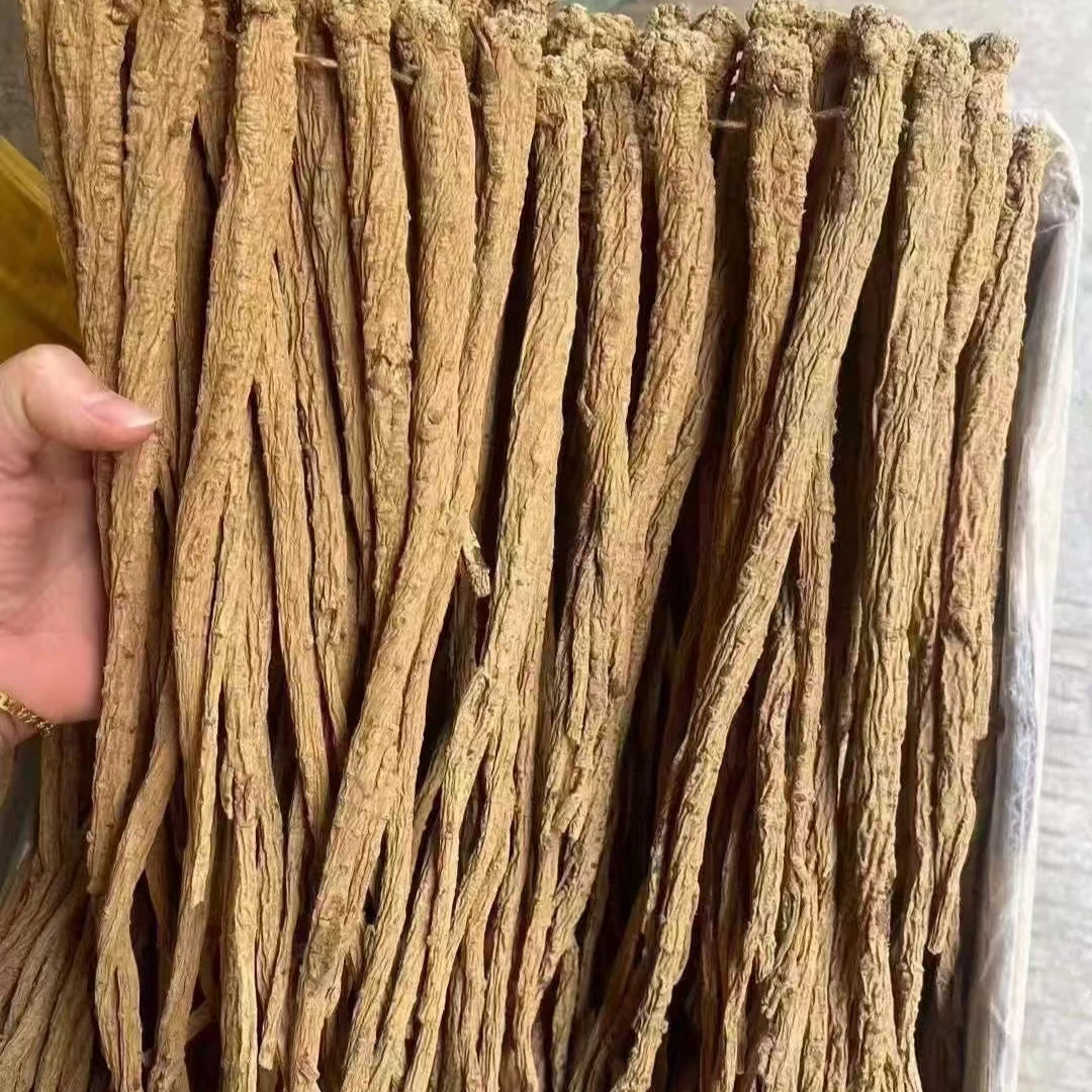 【严选好物】党参条 手工筛选 去断去瘪 zz 脱水蔬菜