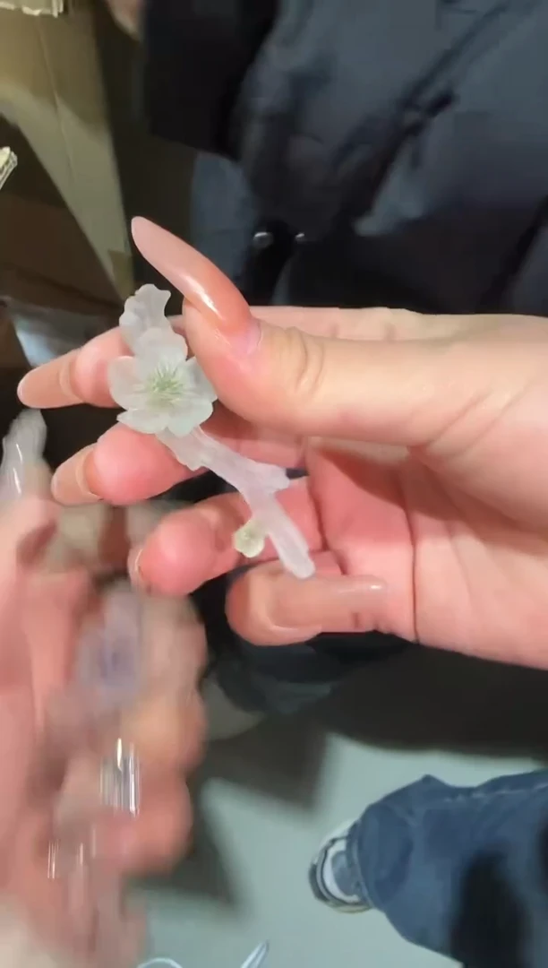 【闪购商品】梅花绿色山子茶搁