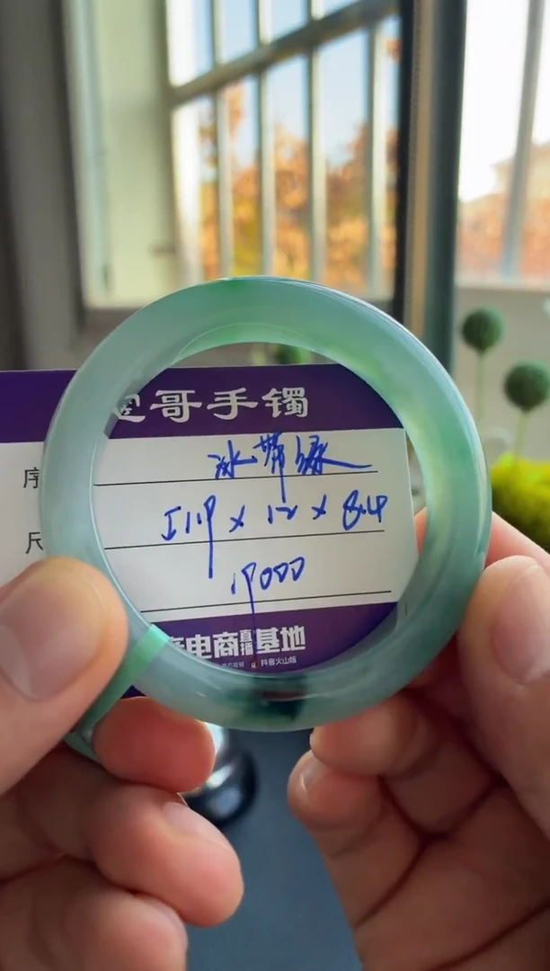 未镶嵌手镯翡翠翡翠手镯