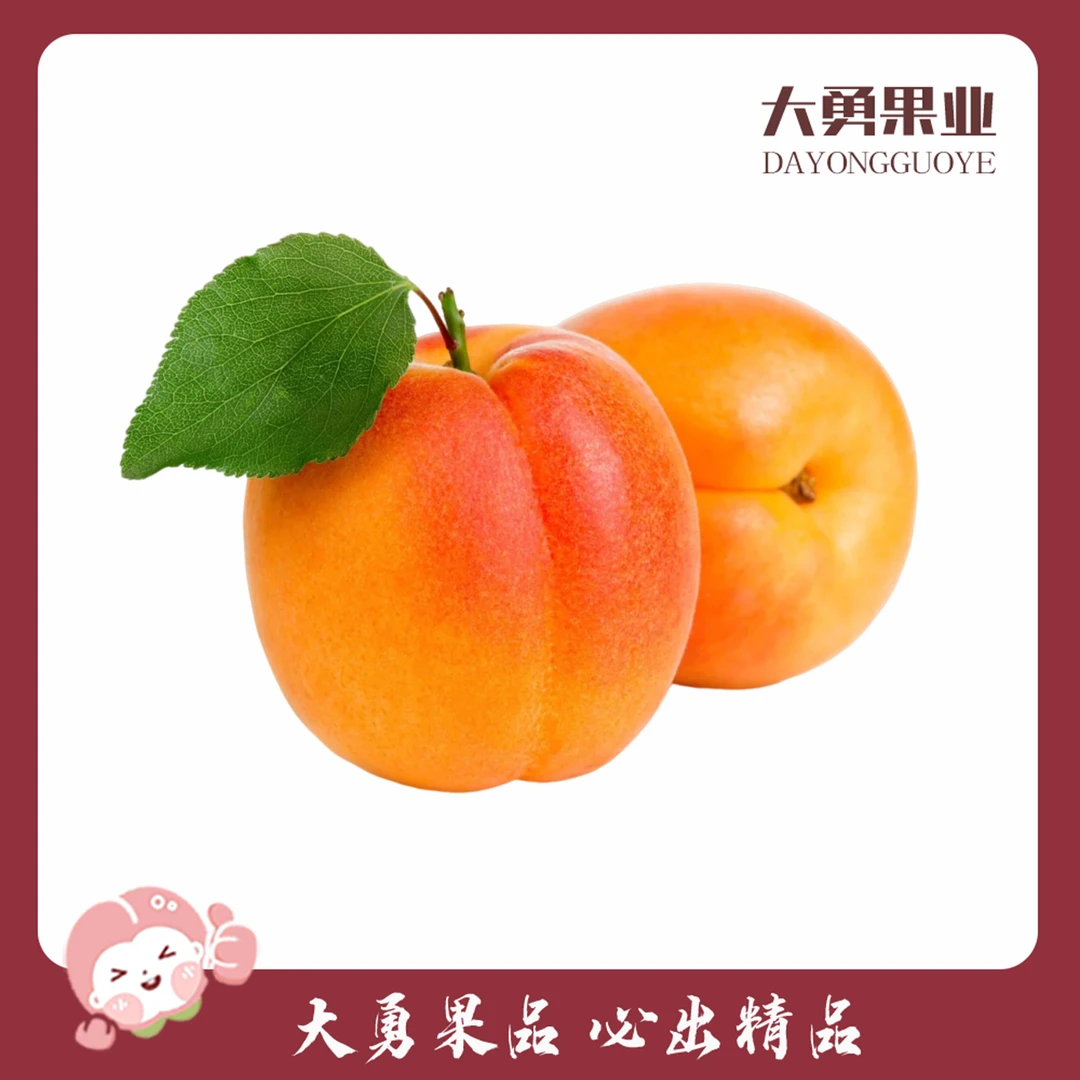 陕西御杏  约500g（甜润多汁）