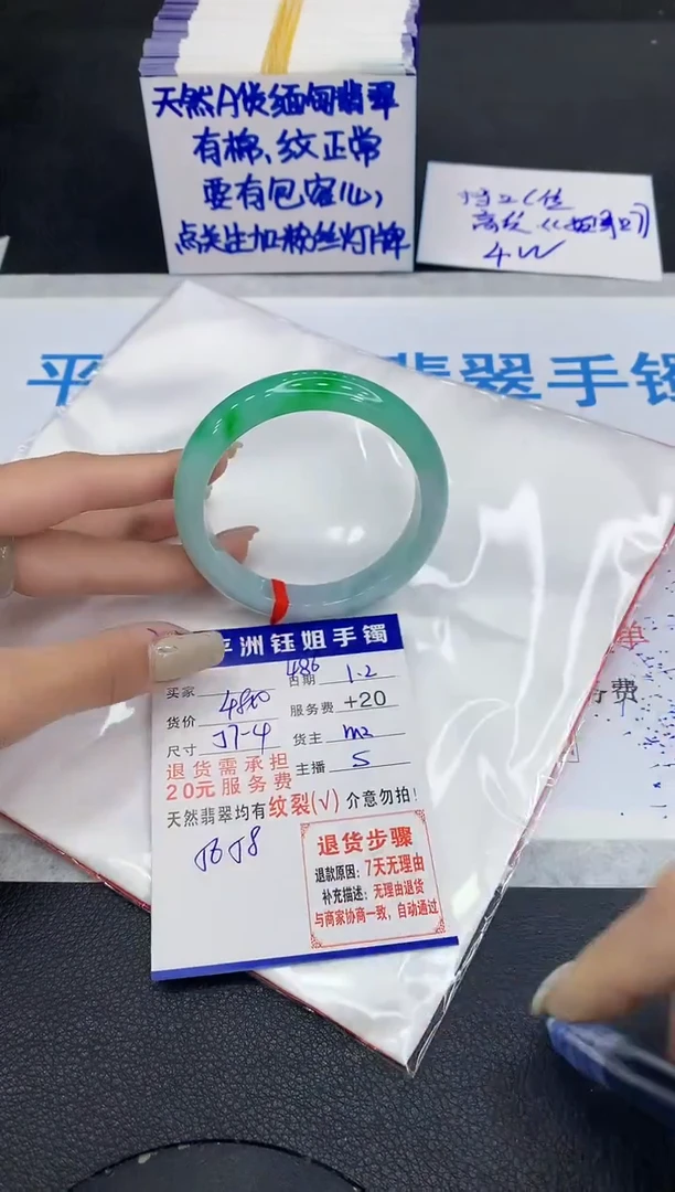 未镶嵌手镯翡翠1