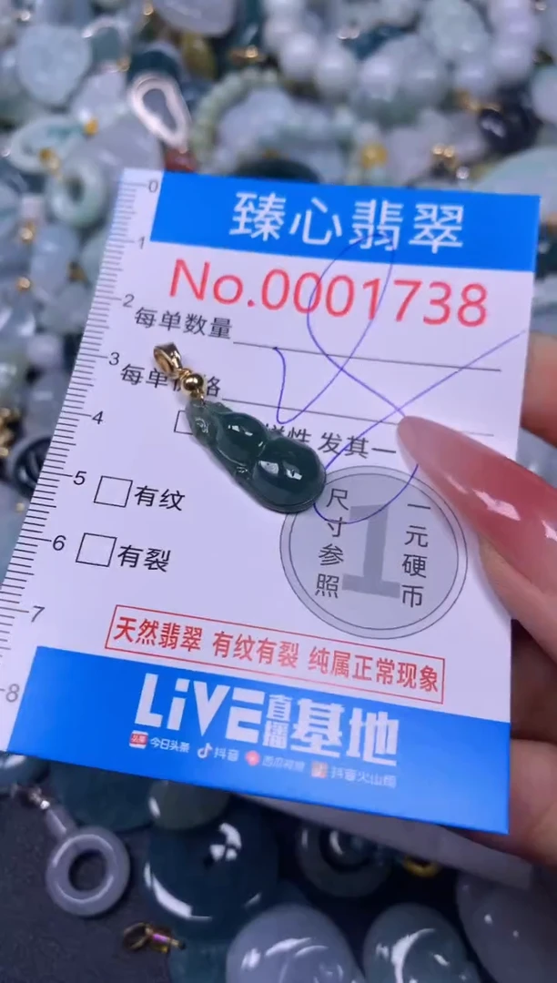 【闪购商品】翡翠颈饰未镶嵌含绳0001738