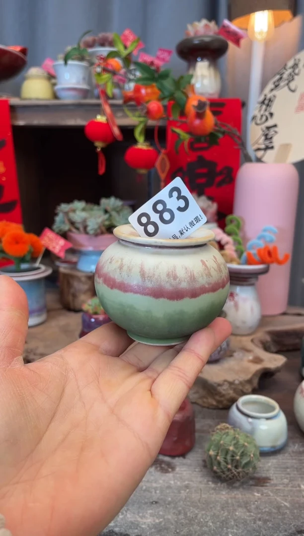 【闪购商品】摆件883知木小芳花盆