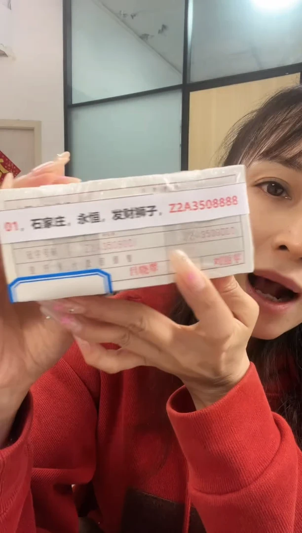 枣木M 01，石家庄，永恒，发财狮子，Z2A3508888