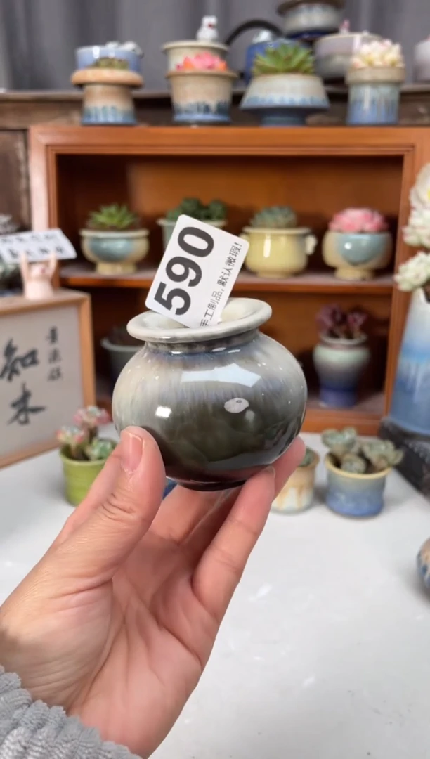 瓷片590小芳直播编号