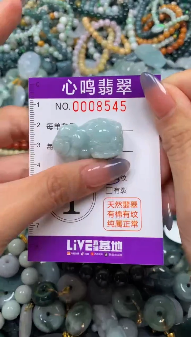 颈饰未镶嵌翡翠闪购008545