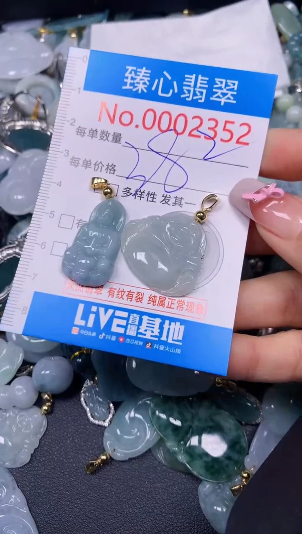 【闪购商品】翡翠颈饰未镶嵌含绳0002352