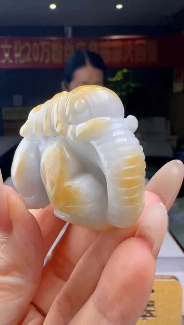 翡翠未镶嵌颈饰YJ@@WS1WX37782