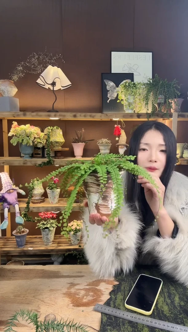 以实际为准曼舞加盆一套050