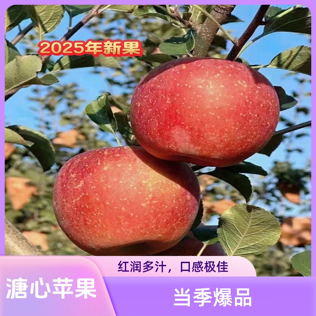 四川大凉山盐源丑苹果高山现摘现发脆甜多汁5斤新鲜好水果