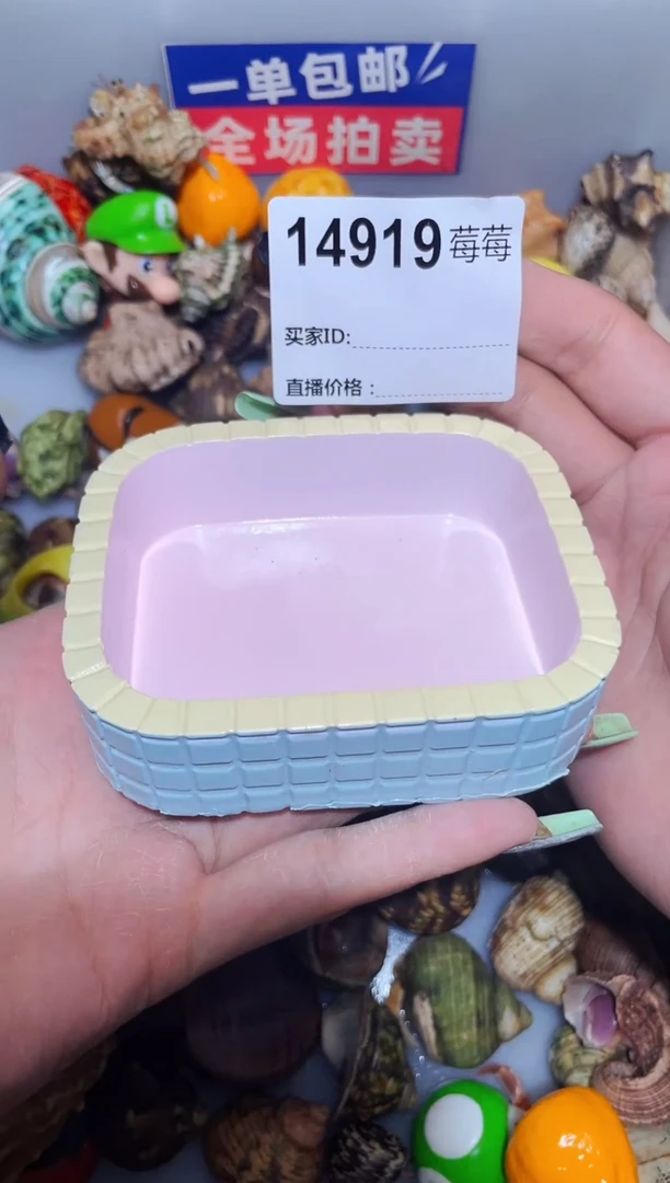 陌派甄选寄居蟹14919