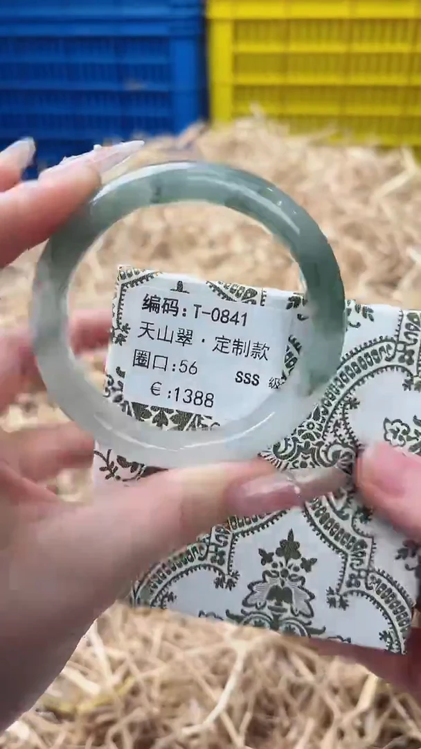 未镶嵌手镯石英质玉T-0841