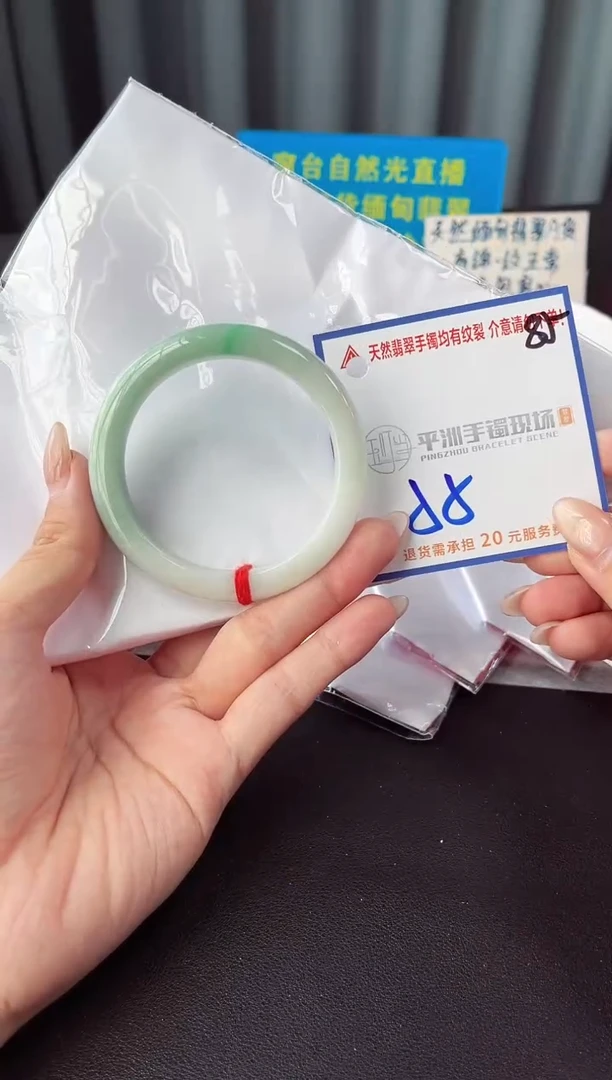 未镶嵌手镯翡翠11111