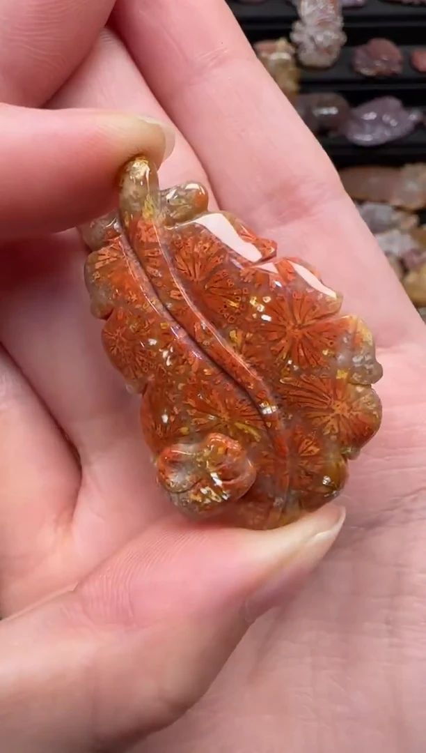 颈饰未镶嵌硅化珊瑚（珊瑚玉）131