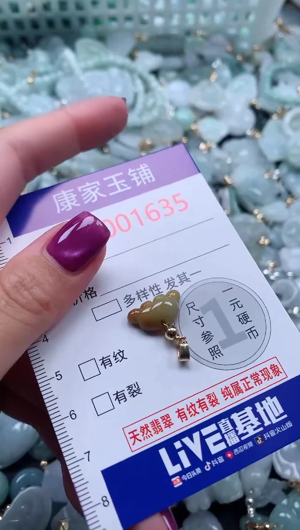 颈饰未镶嵌翡翠1635