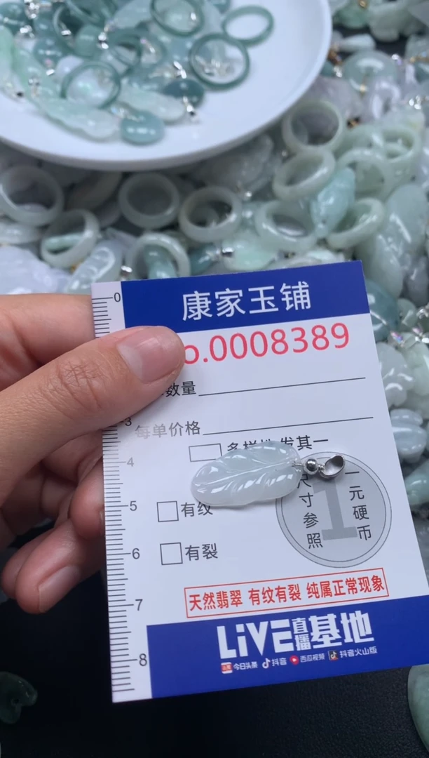 颈饰未镶嵌翡翠8389