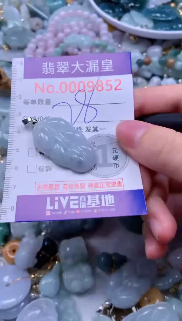翡翠未镶嵌吊坠(不含链)9852