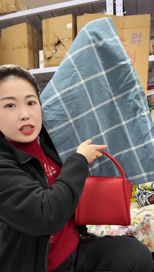 PU上车啦 宝宝们抓紧时间去下方链接拍吧蓝色格子枕套发一对