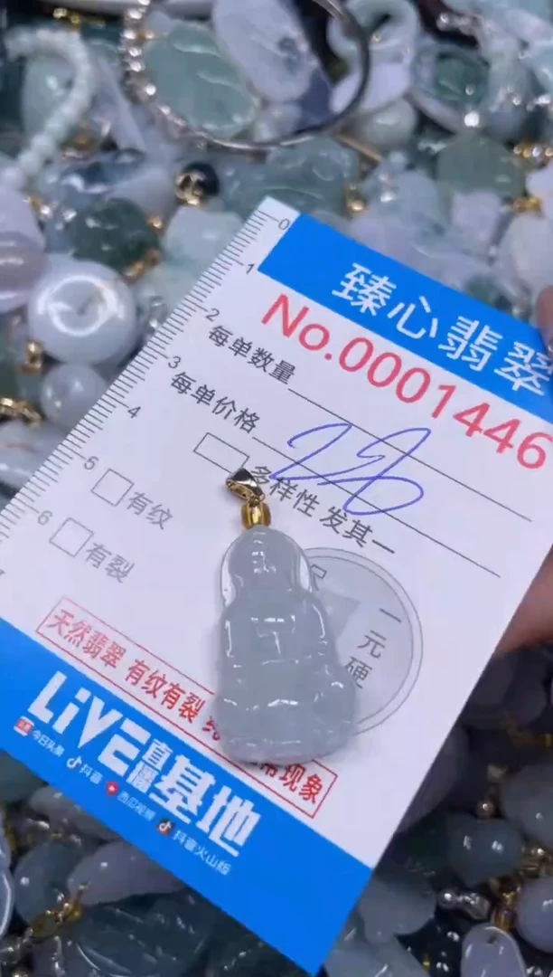 颈饰未镶嵌翡翠1446