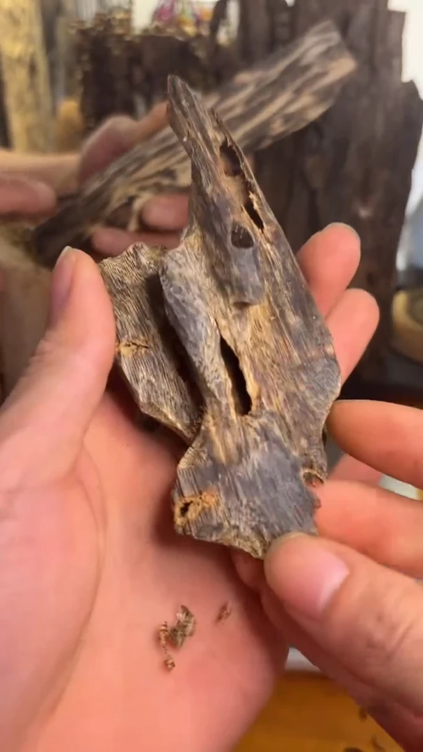 沉香沉香碎屑金沙叶品种31克