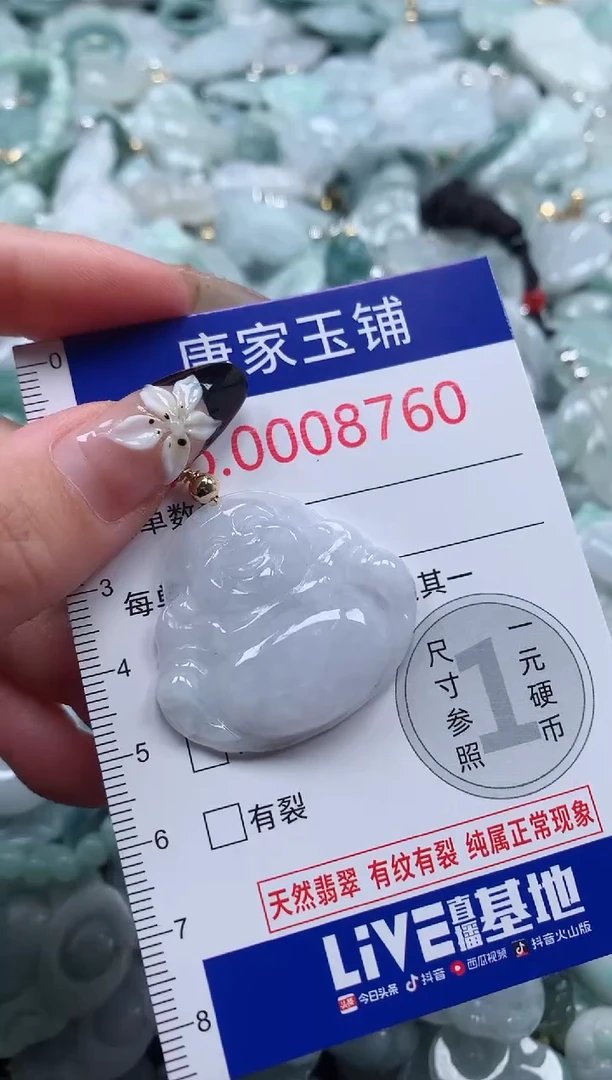 颈饰未镶嵌翡翠8760