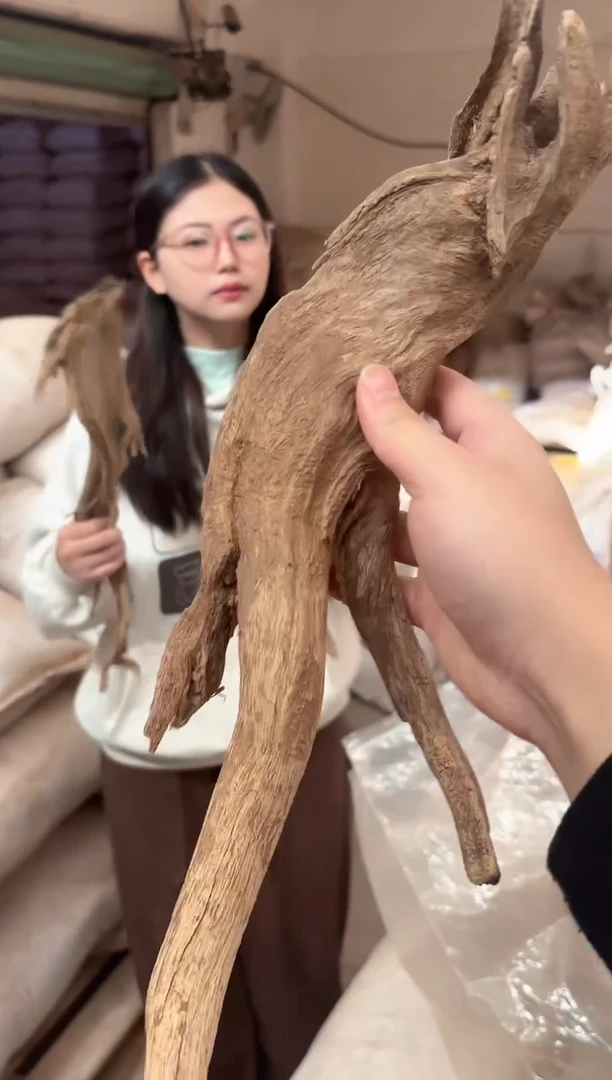 沉香海南根结沉香50g