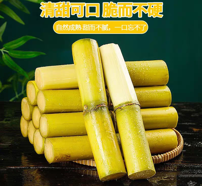 云南黄金甘蔗云南黄皮甘蔗现砍应季水果脆甜多汁煮茶榨汁清肺润喉