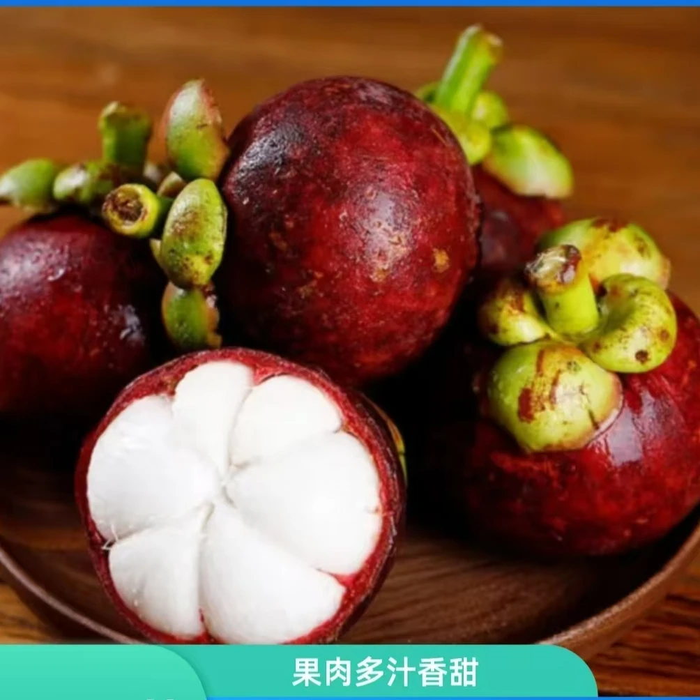 （太昊专属）老树麻竹 4A 4斤顺丰包邮 新货现发