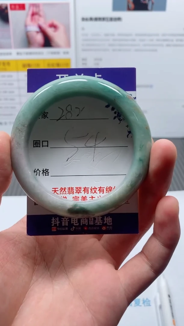未镶嵌手镯翡翠282