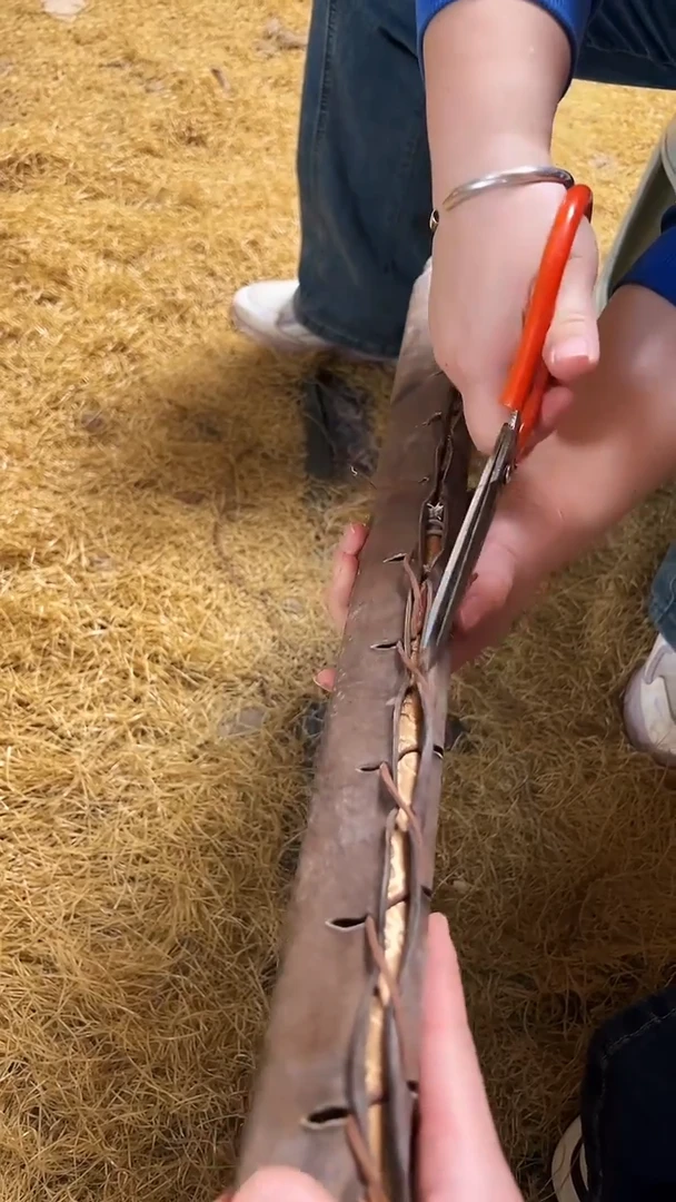 【闪购商品】高端精美开牛皮包单个链接
