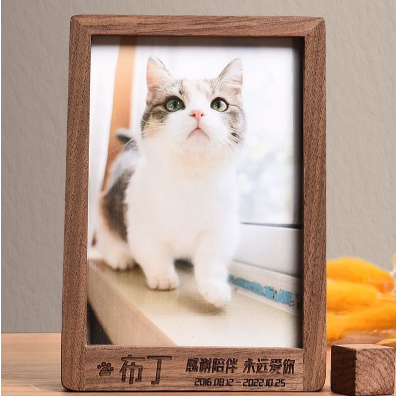 高清纪念宠物相册