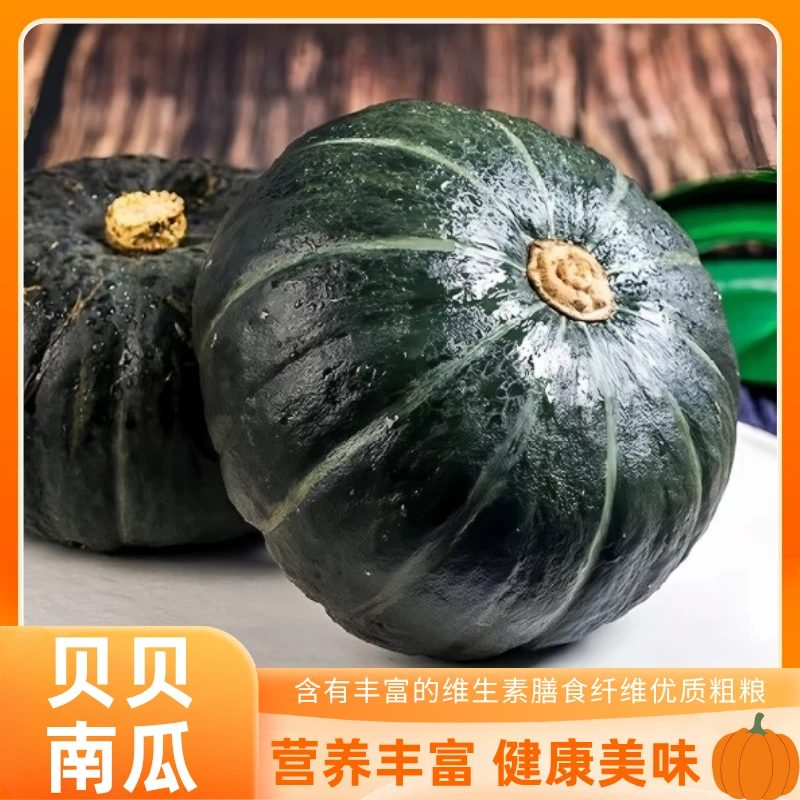 正宗贝贝南瓜新鲜蔬果香甜粉糯粗粮辅食