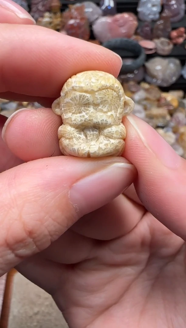 颈饰未镶嵌硅化珊瑚（珊瑚玉）294