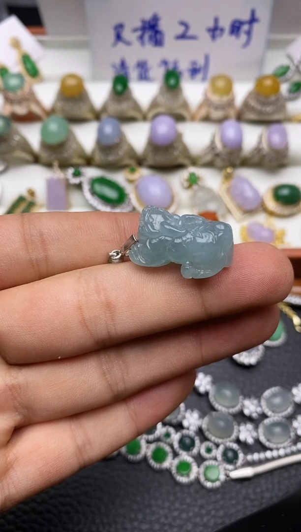 颈饰未镶嵌翡翠貔貅2633