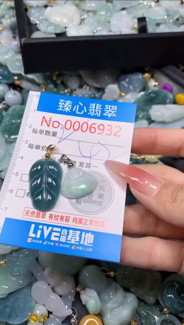 【闪购商品】翡翠颈饰未镶嵌含绳0006932