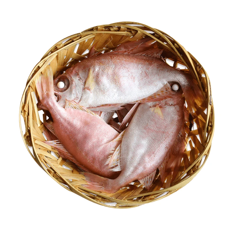 【红目鳞】潮汕打冷鱼饭红目麟