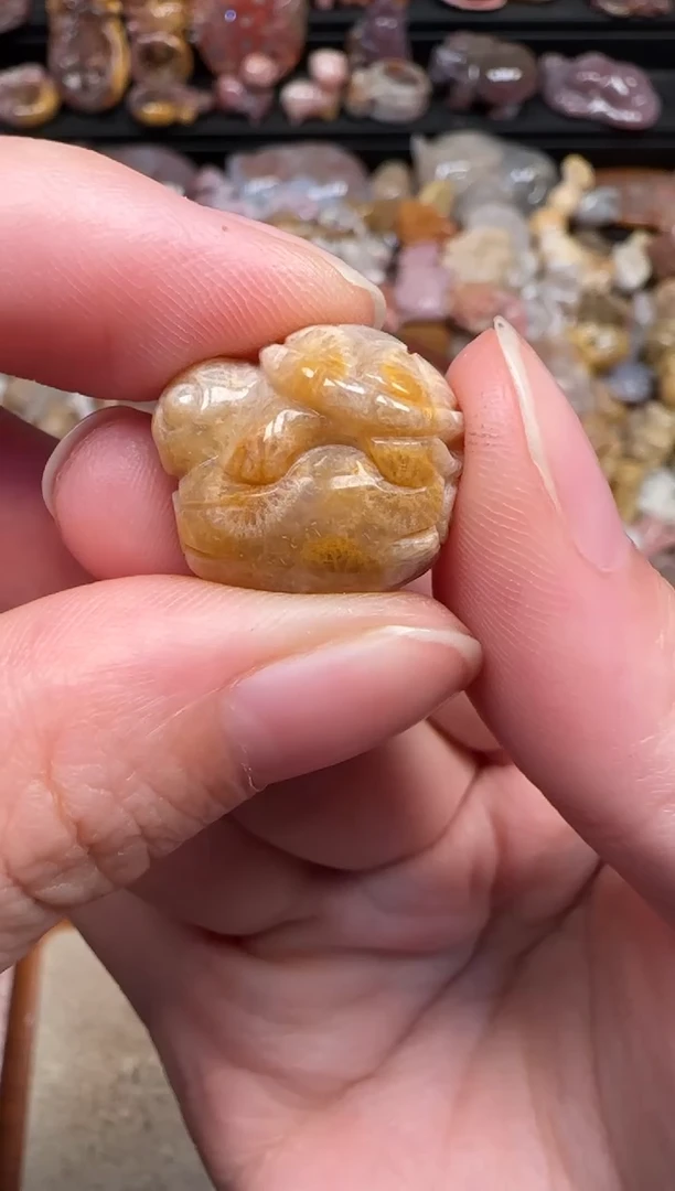 颈饰未镶嵌硅化珊瑚（珊瑚玉）753