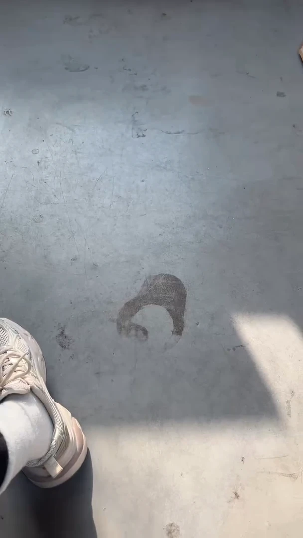 实木竖款?**团买家专拍