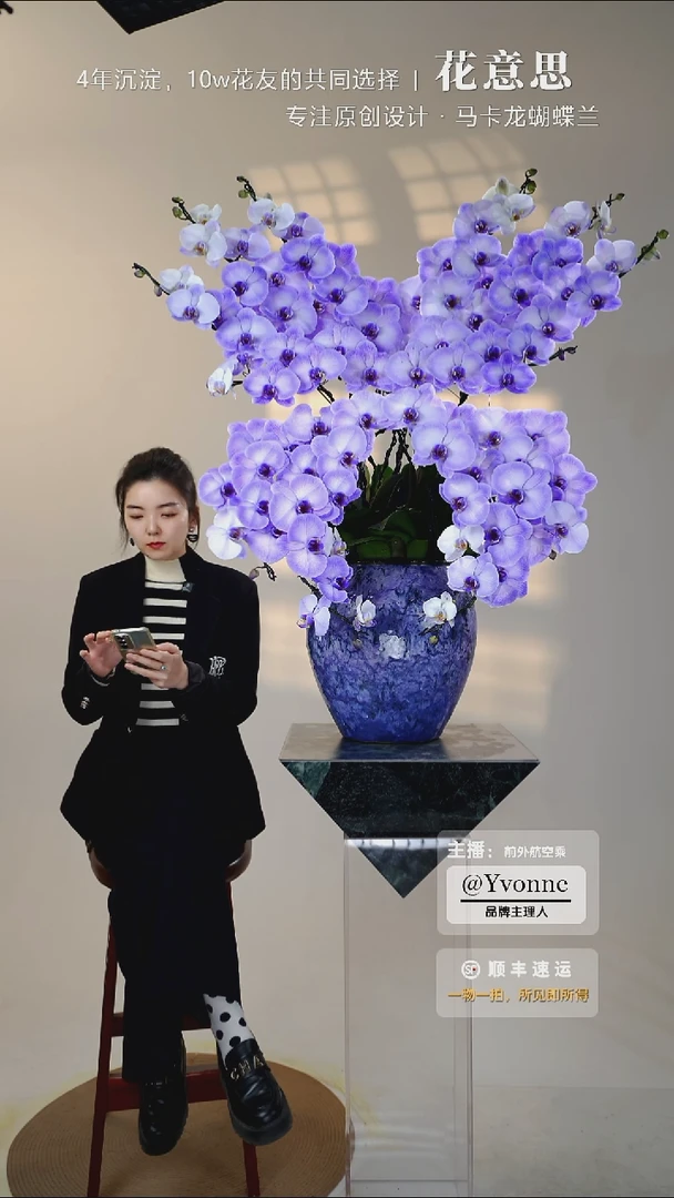 全部花朵008一物一拍蝴蝶兰艺术盆景