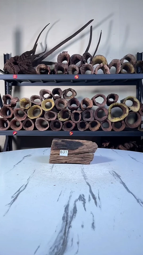 文****）云南紫柚木造景沉木831