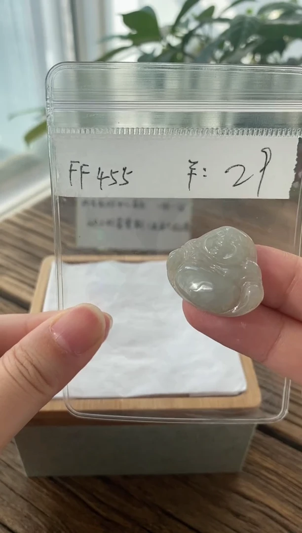 翡翠未镶嵌吊坠(不含链)FF455