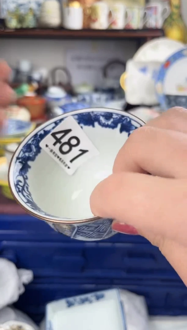 瓷片481...............