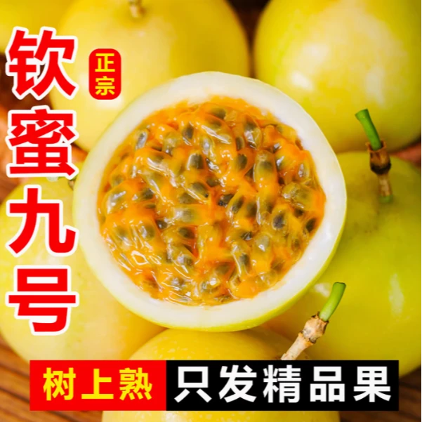 海南钦蜜9号黄金百香果新鲜水果应季水果包邮大果当季整箱黄金