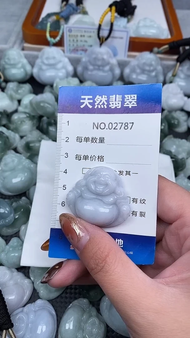 颈饰未镶嵌翡翠纯天然A货翡翠2787