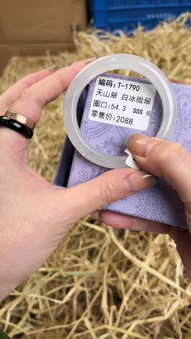 未镶嵌手镯石英质玉T-1790