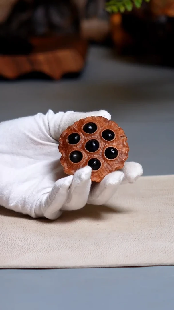 木崖柏小莲蓬R8952