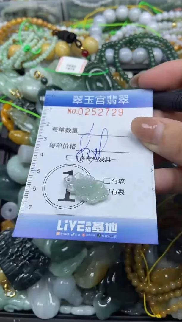 颈饰未镶嵌翡翠闪购C0252729