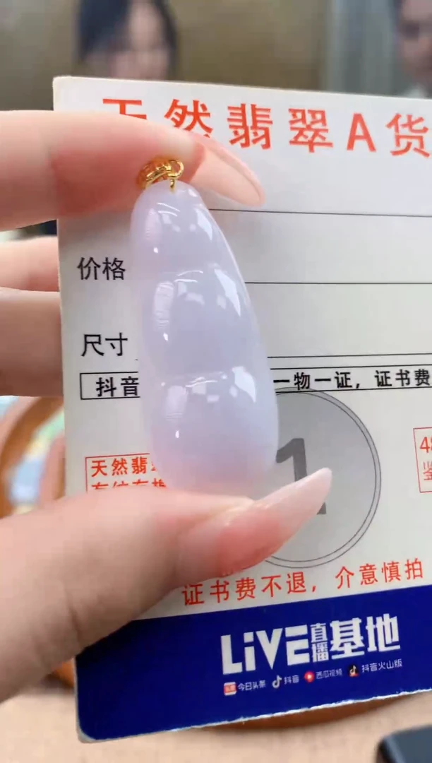 颈饰未镶嵌翡翠天然A货翡翠挂件